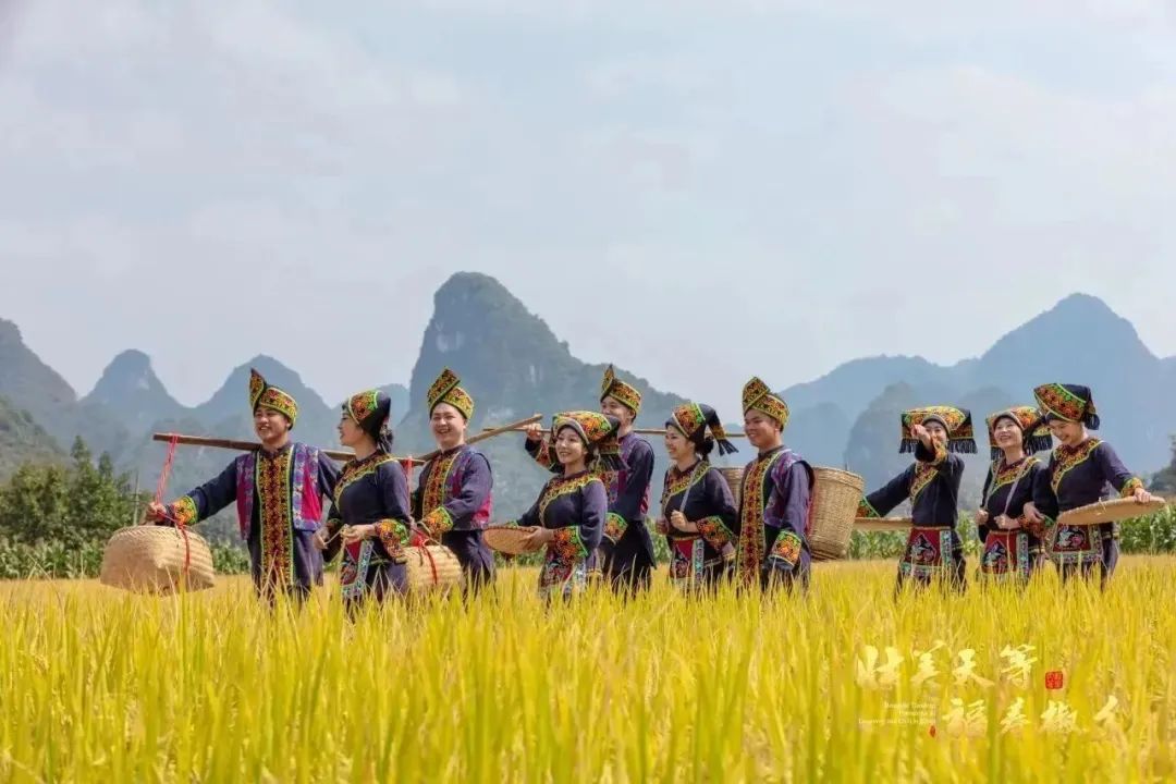 崇左旅游纪念品_崇左旅游攻略_明仕田园景区