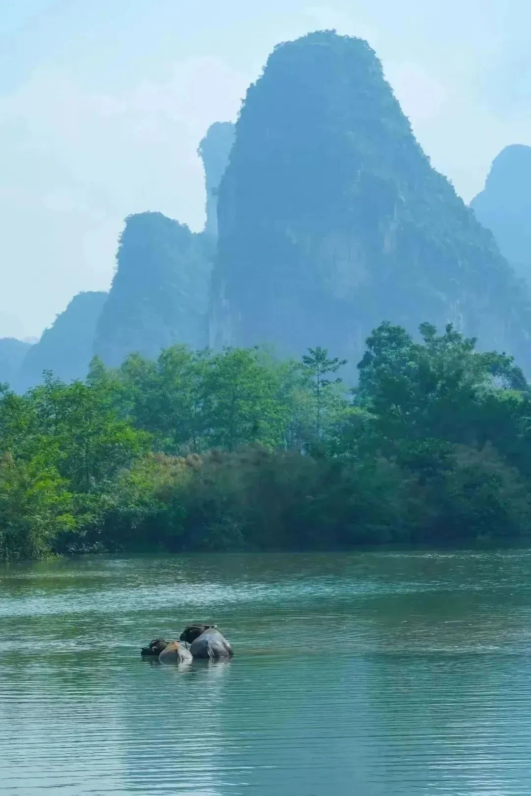 崇左旅游纪念品_明仕田园景区_崇左旅游攻略